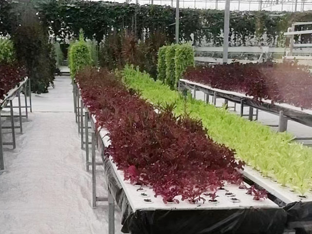 農(nóng)產(chǎn)品